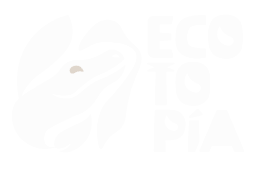logo-image